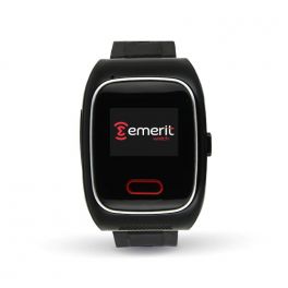 EMERIT E-WG100